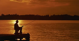 Describe the photo or the page it links to
