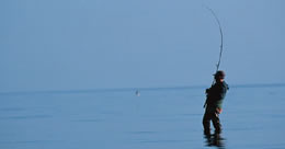 Describe the photo or the page it links to