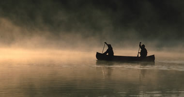 Describe the photo or the page it links to
