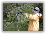 Deer Lake Resort (62)