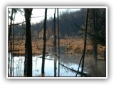 Deer Lake Resort (64)