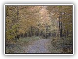 Deer Lake Resort (66)