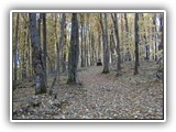 Deer Lake Resort (67)