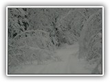 Deer Lake Winter Sports