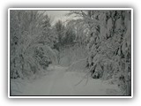 Deer Lake Winter Sports