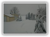 Deer Lake Winter Sports