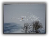 Deer Lake Winter Sports